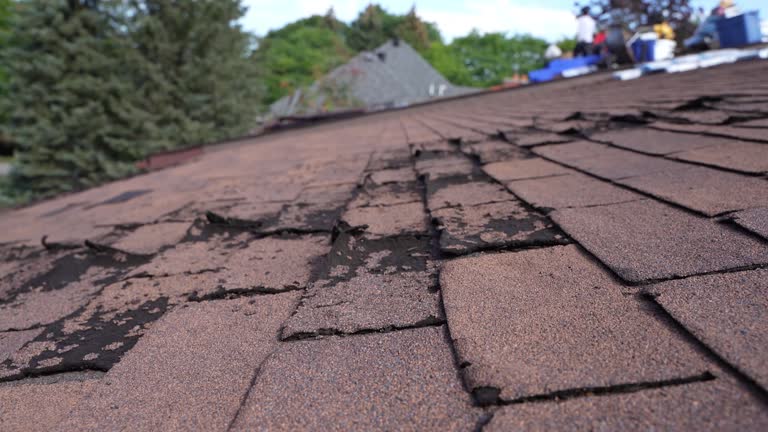 Best Skylight Installation and Repair  in Carrier Mls, IL
