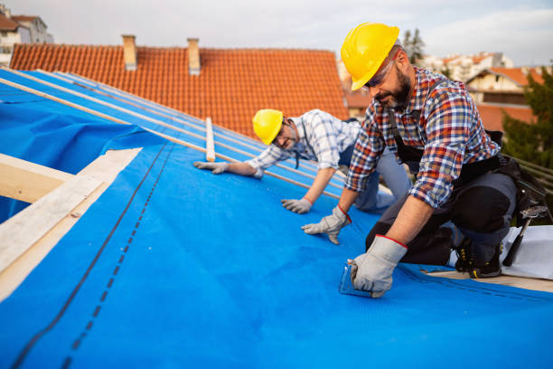 Best Rubber Roofing (EPDM, TPO)  in Carrier Mls, IL