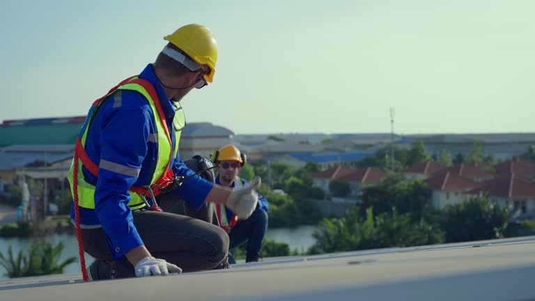 Best Gutter Installation and Repair  in Carrier Mls, IL