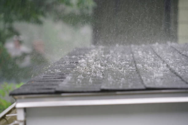 Best Roof Maintenance and Cleaning  in Carrier Mls, IL