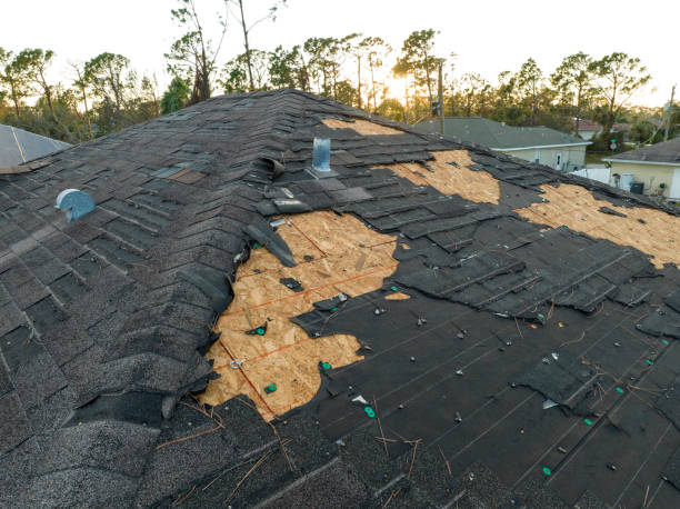 Best Asphalt Shingle Roofing  in Carrier Mls, IL