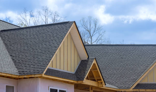 Best Gutter Installation and Repair  in Carrier Mls, IL