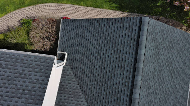 Best Roof Coating and Sealing  in Carrier Mls, IL