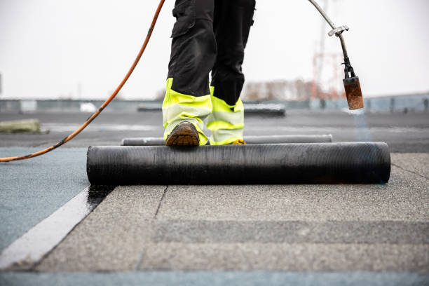 Best Commercial Roofing Services  in Carrier Mls, IL